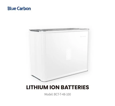 Blue Carbon 48V 100Ah ličio jonų akumuliatoriaus namų energijos kaupimo sistema